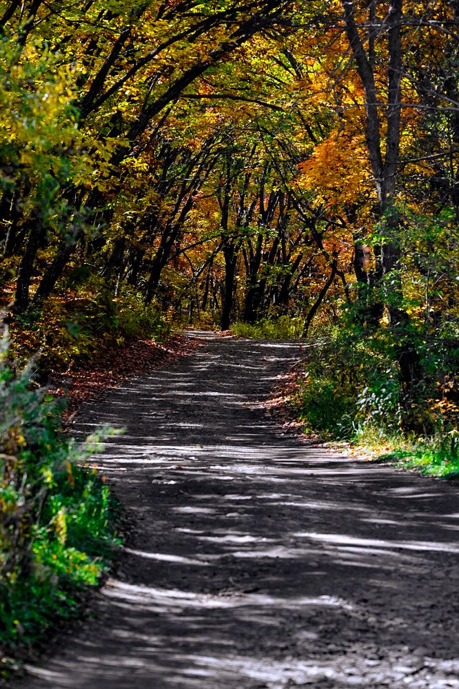 Photograph by Наталья Струц