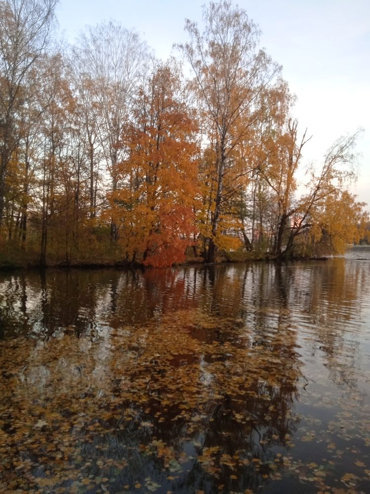 Photograph by Фёдор Викторович