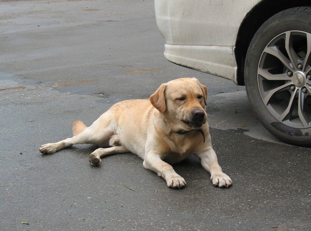 Photograph by Владимир