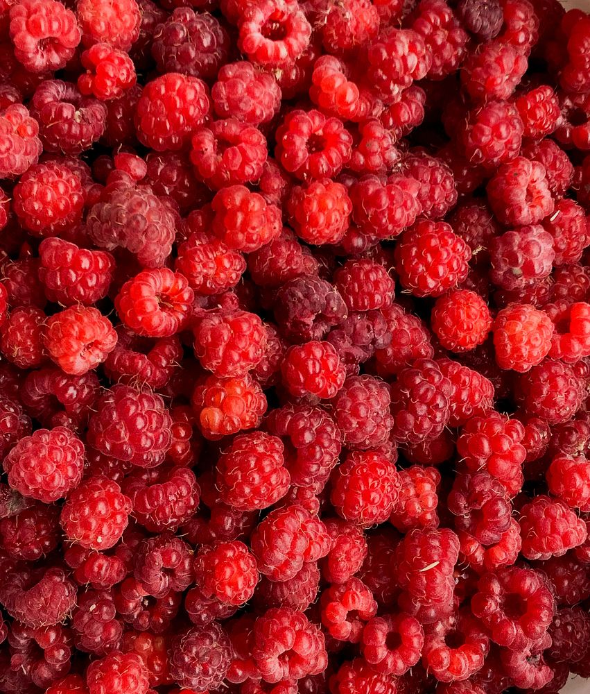 Photograph by Марина Георгиева