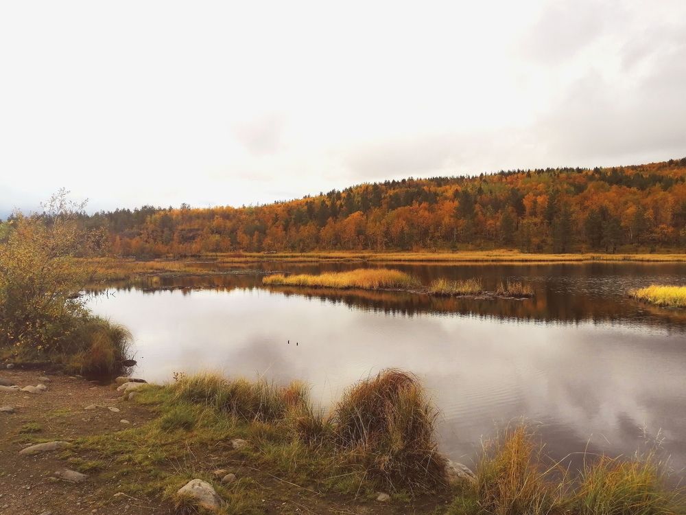 Фотография автора Татьяна Савранчук