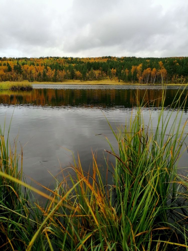 Фотография автора Татьяна Савранчук