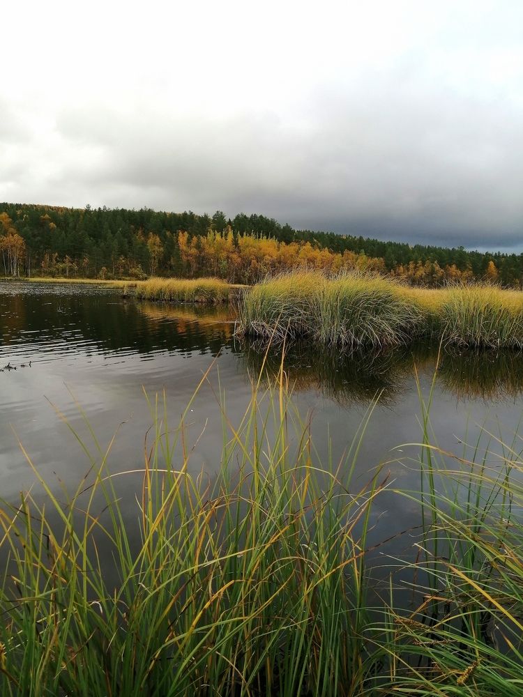 Фотография автора Татьяна Савранчук