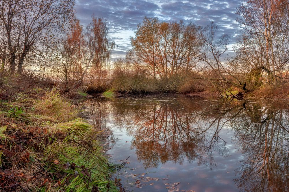 Фотография автора Сережин Сережа