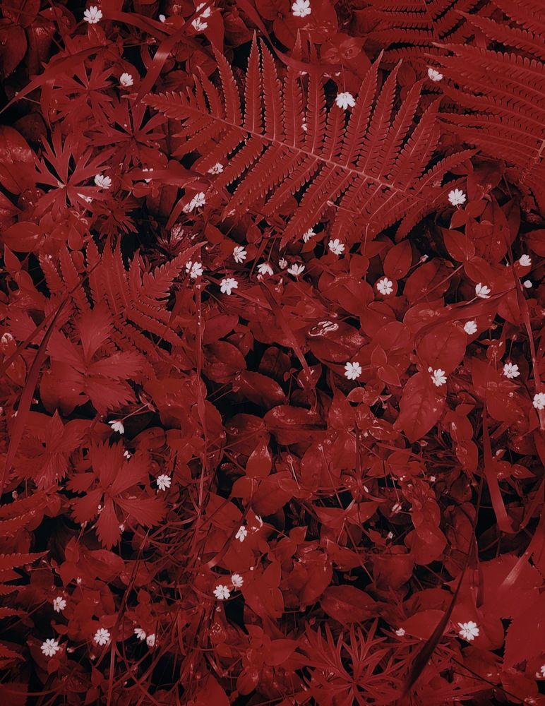 Photograph by Татьяна Гулакова