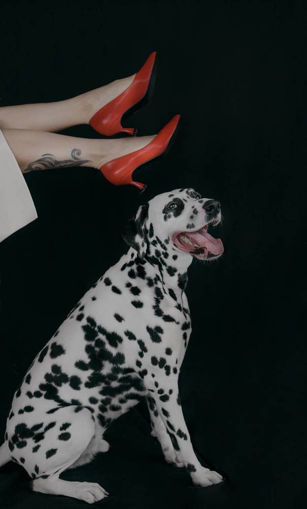 Photograph by Elena Gembach