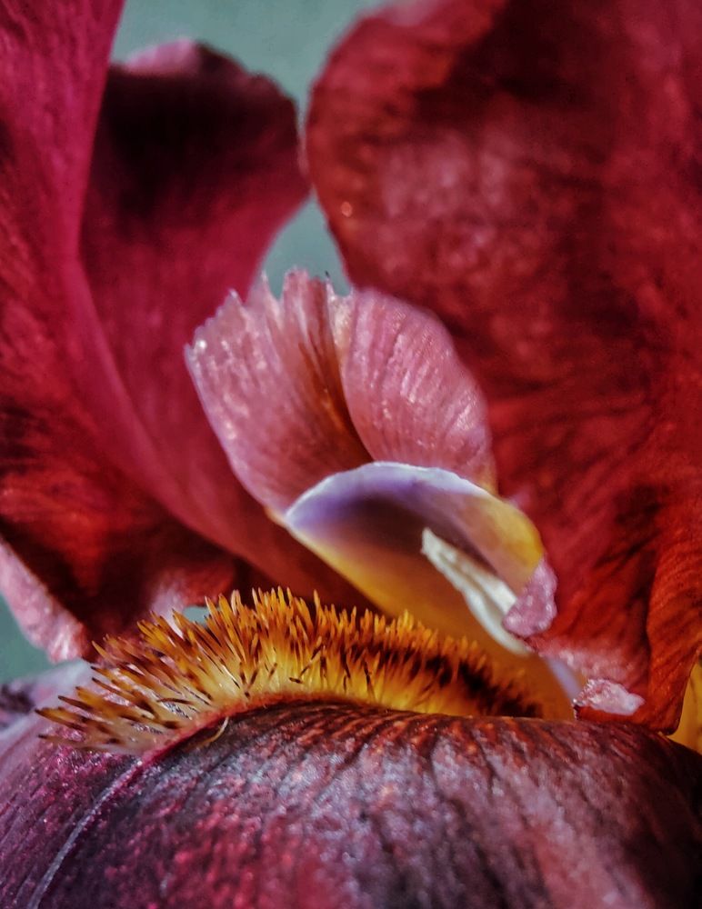 Photograph by Татьяна Гулакова