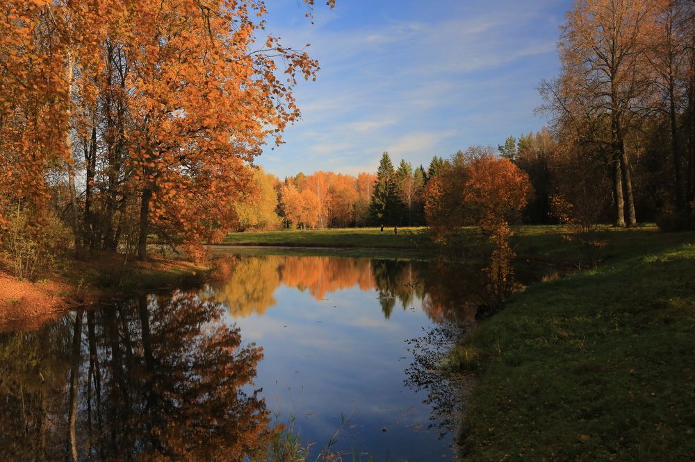 Photograph by Николай Бакулин