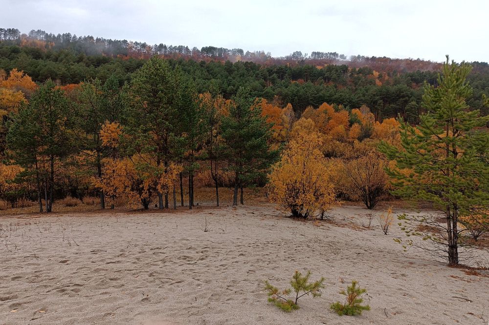 Фотография автора Екатерина Пачина