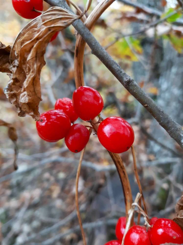Photograph by Галина Глазкова