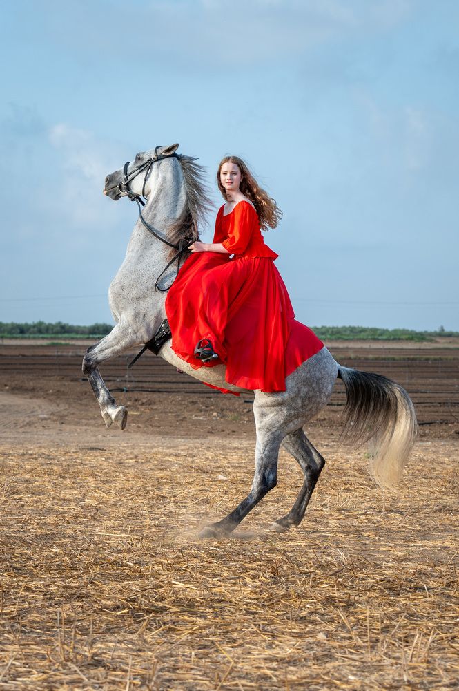 Photograph by esti lahat