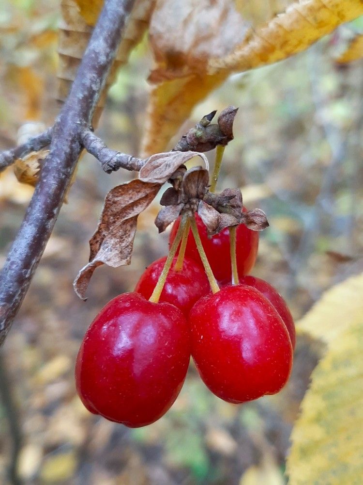 Photograph by Галина Глазкова