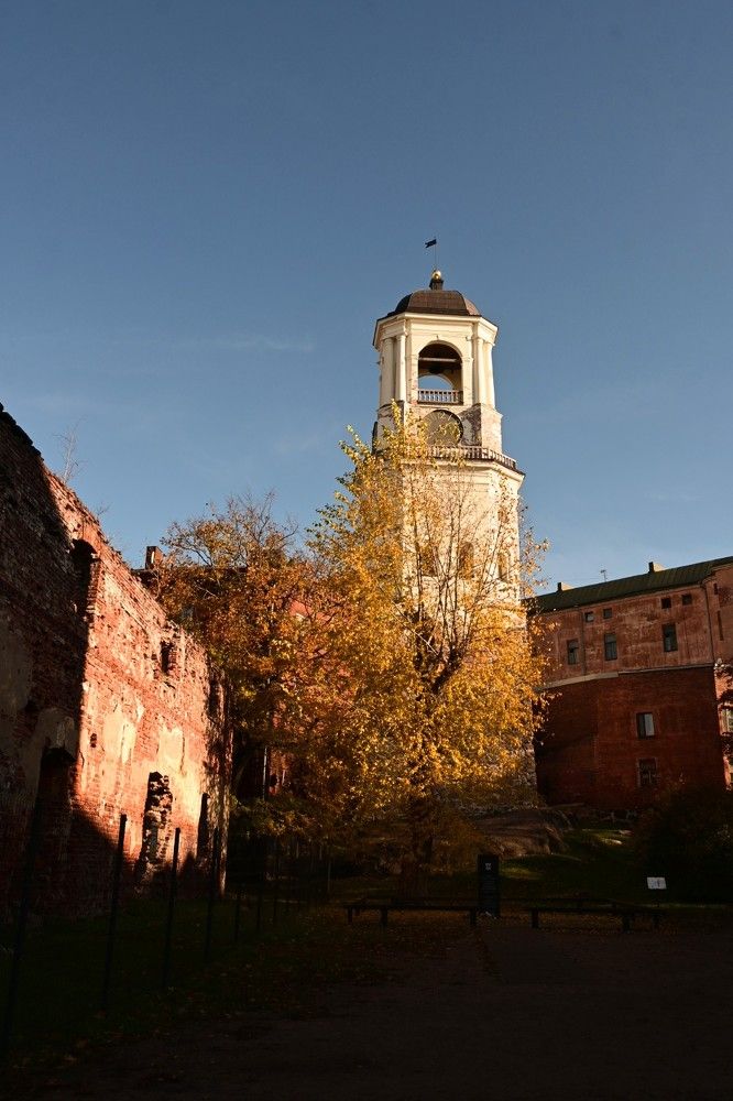 Photograph by Дарья Булавина