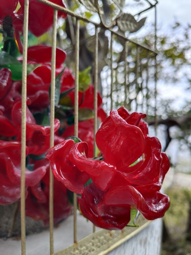 Photograph by Natalya Vasilenko