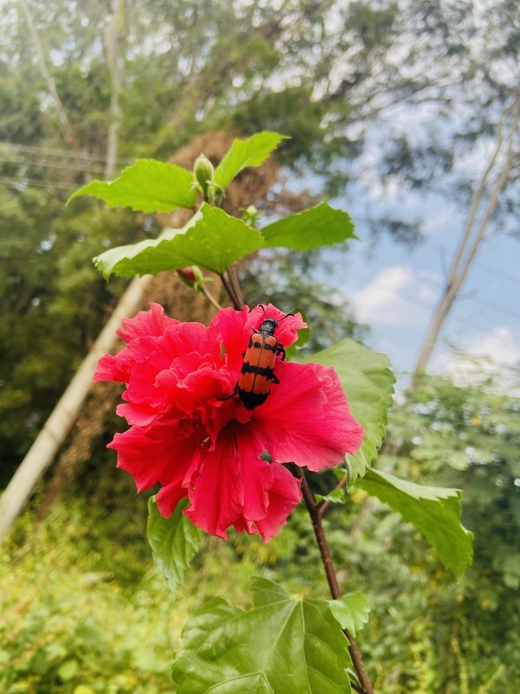 Photograph by Shivam Kashyap