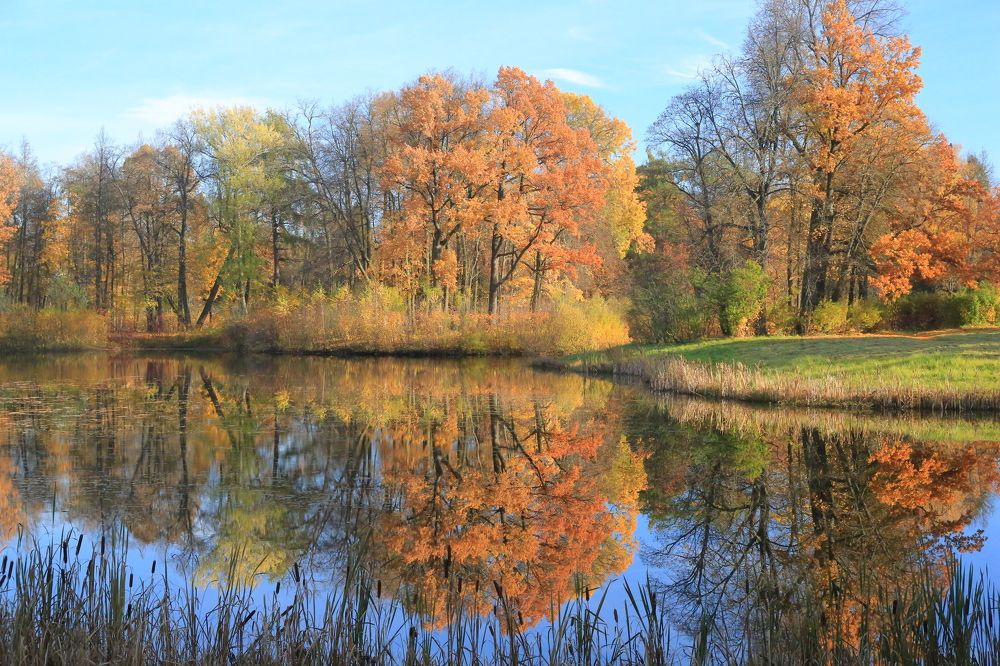 Photograph by Николай Бакулин