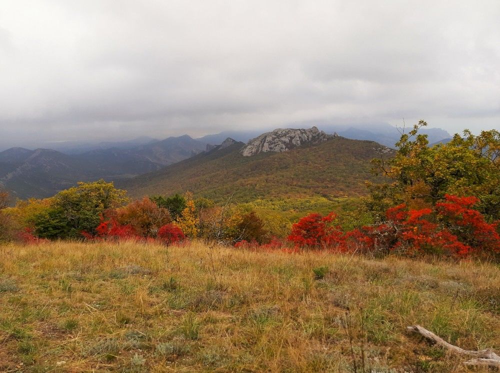 Photograph by Галина Глазкова