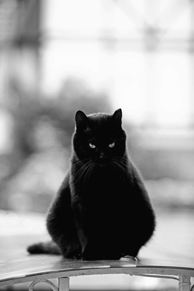 Photograph by Никита Львов