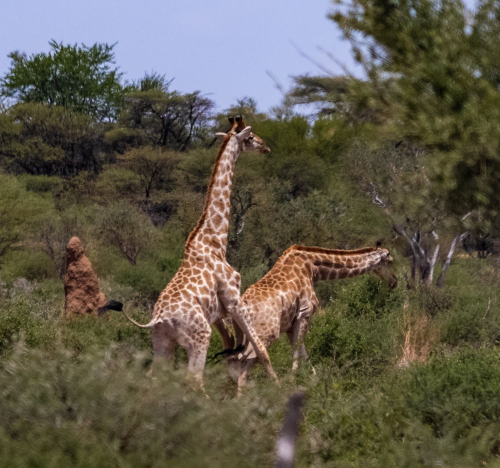Photograph by Елена Захарова