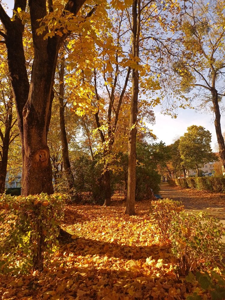 Photograph by Anna Grinkevich