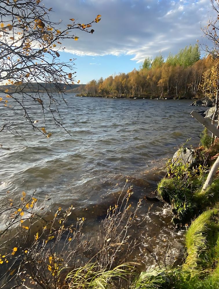 Фотография автора Татьяна Савранчук