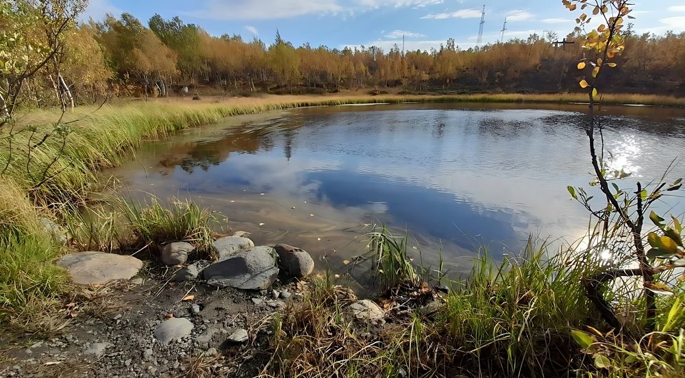 Фотография автора Татьяна Савранчук