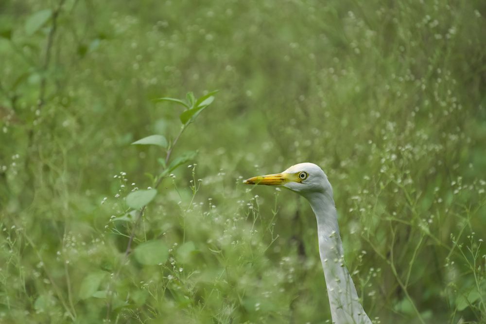 Photograph by Anshuman Tiwari
