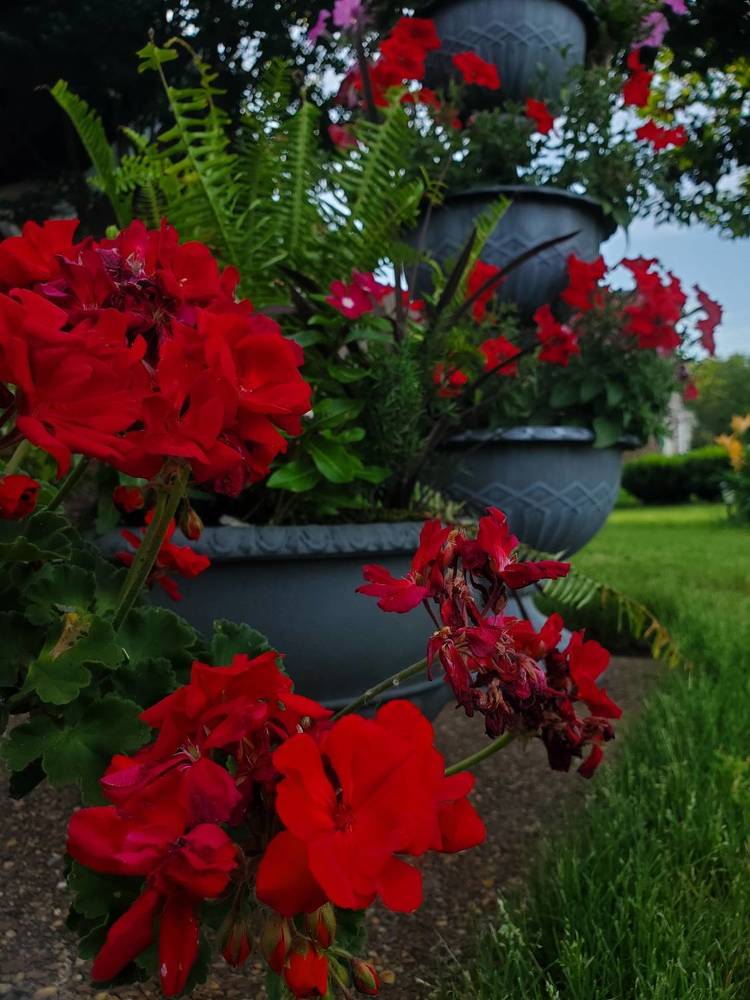 Photograph by Татьяна Пирс