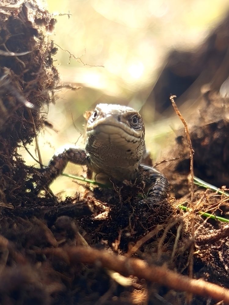 Photograph by Дмитрий Петренко