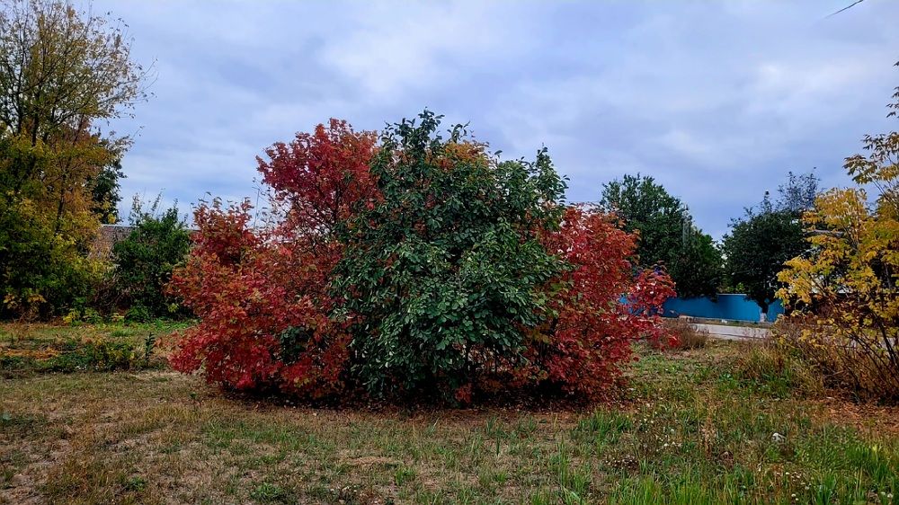 Photograph by Метушова Анна