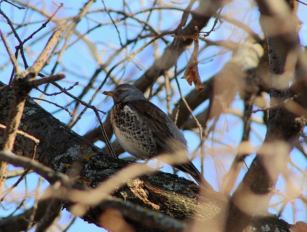 Photograph by Серёга Ануфриев