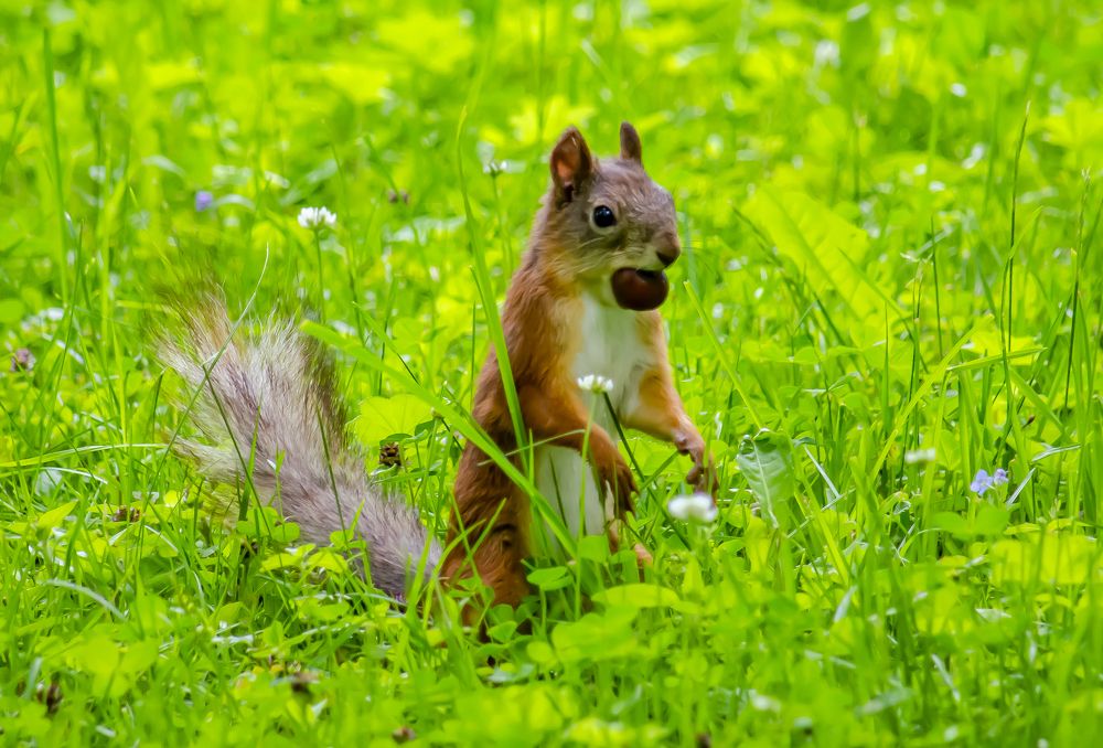 Photograph by Юлиана Иванова