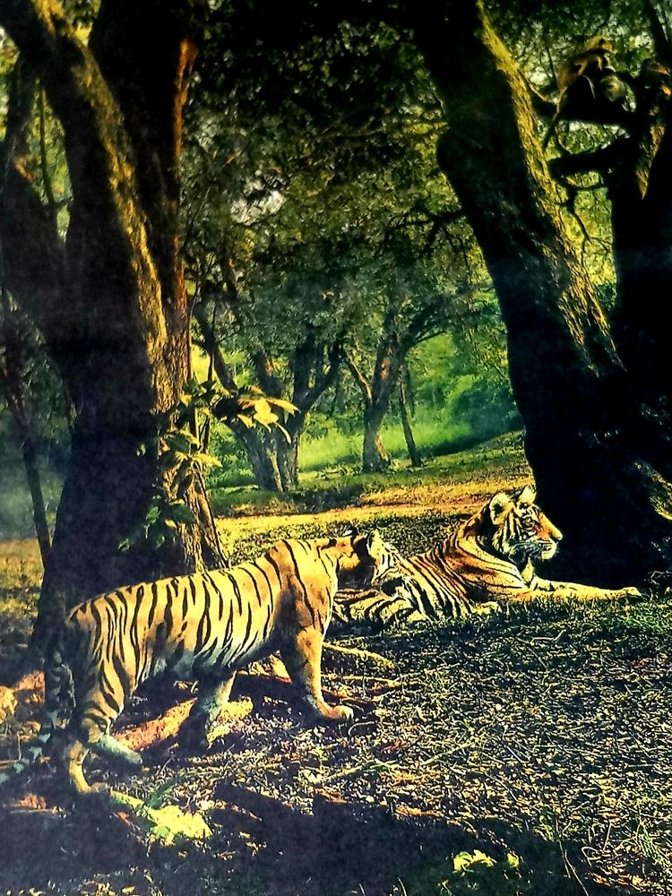 Photograph by B.Ramasubbaiah