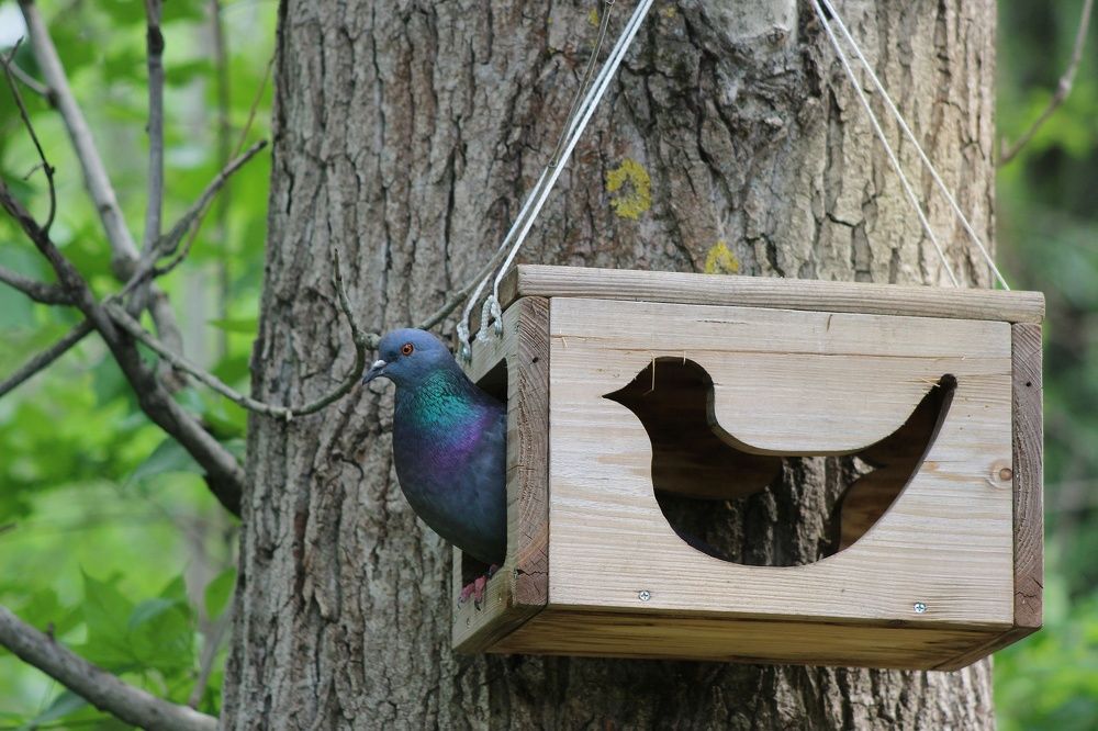 Фотография автора Тамара Караваева
