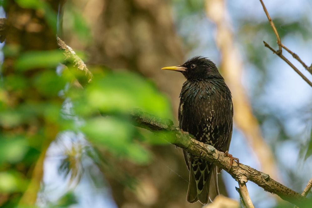 Photograph by Едынак Евгений