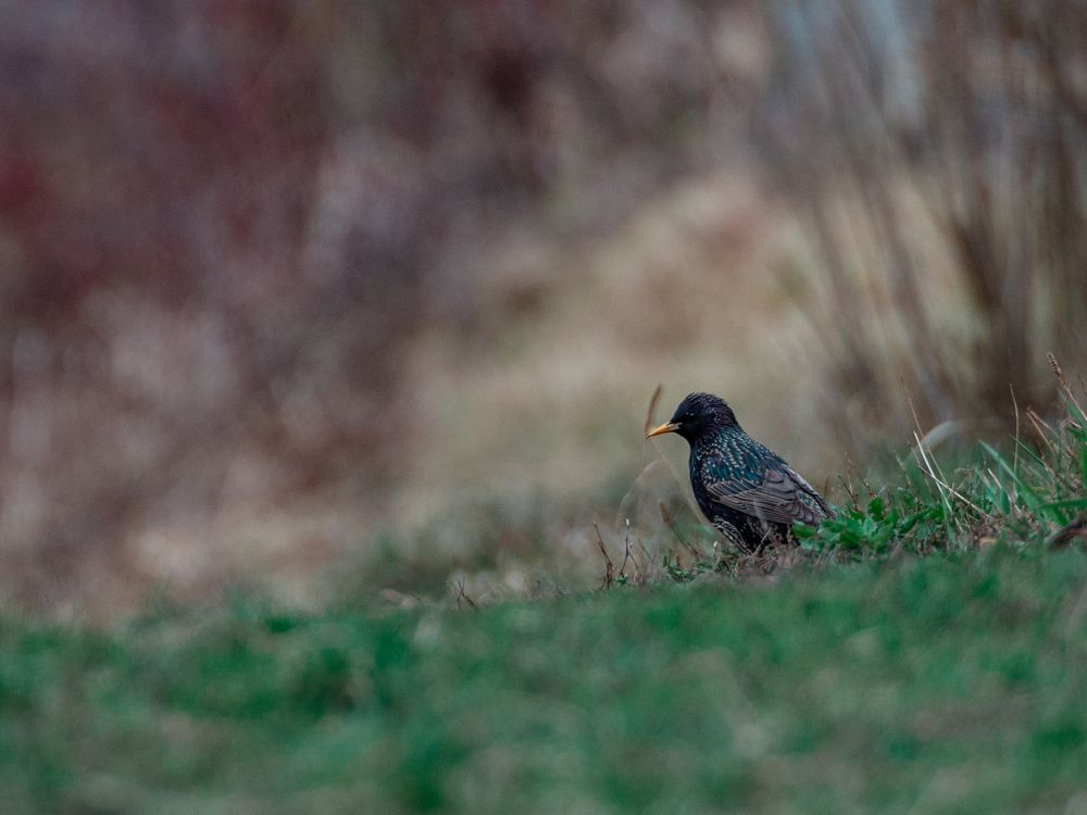 Photograph by Едынак Евгений