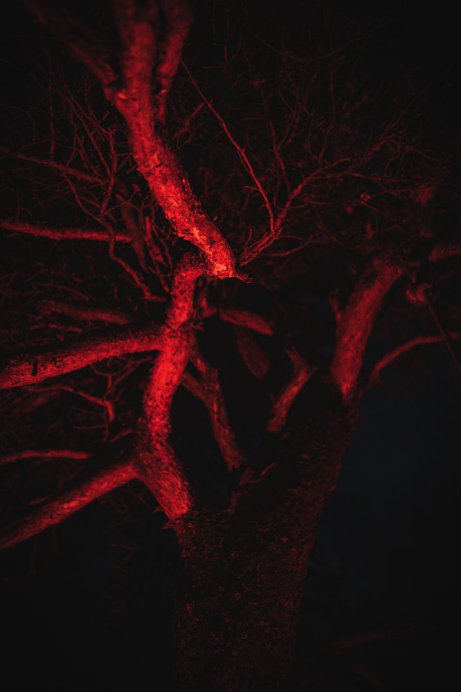 Photograph by Илья Мельников