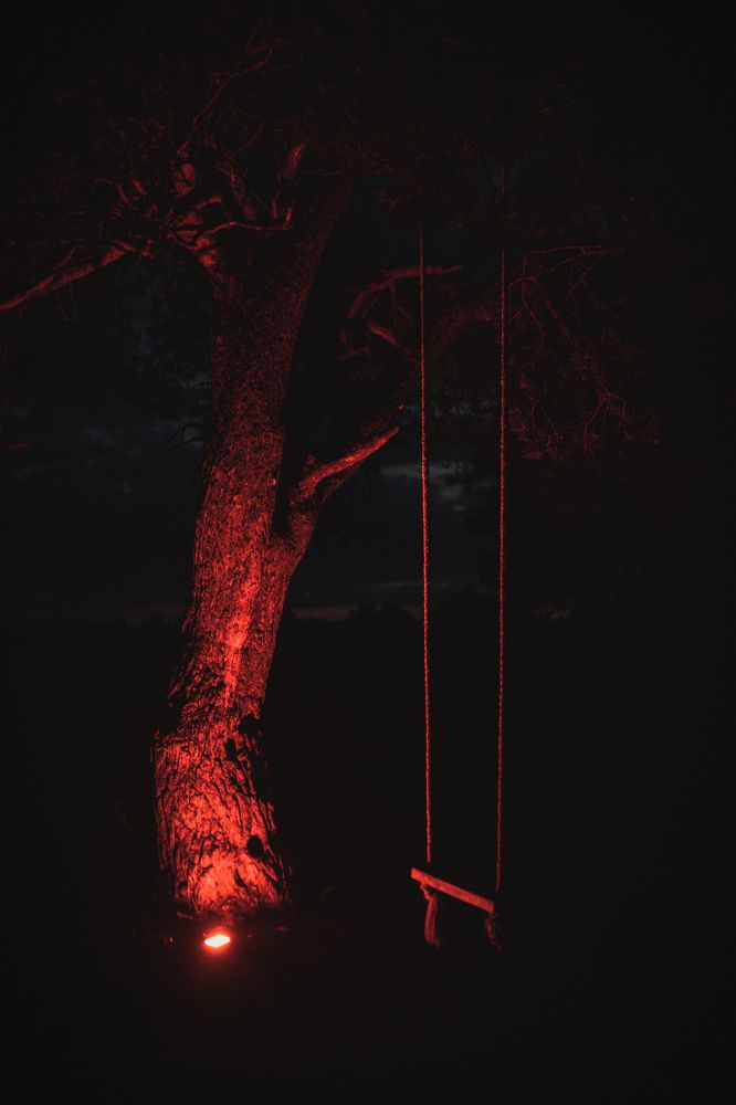 Photograph by Илья Мельников