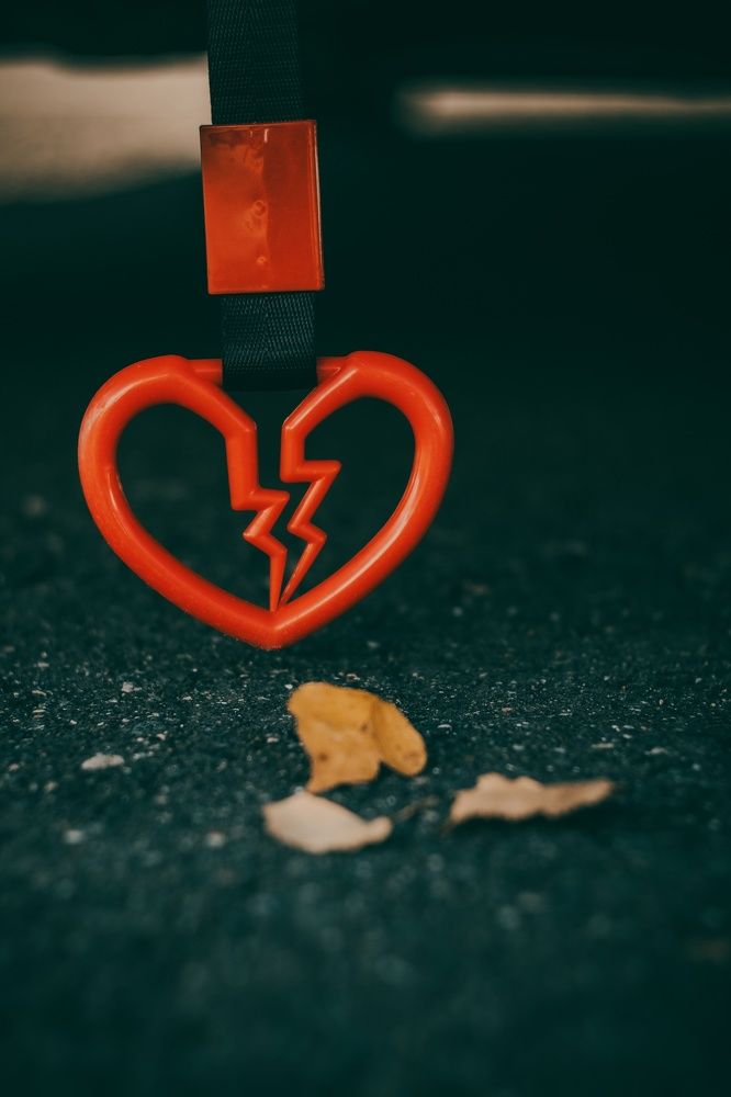 Фотография автора Aamoda Kitchen