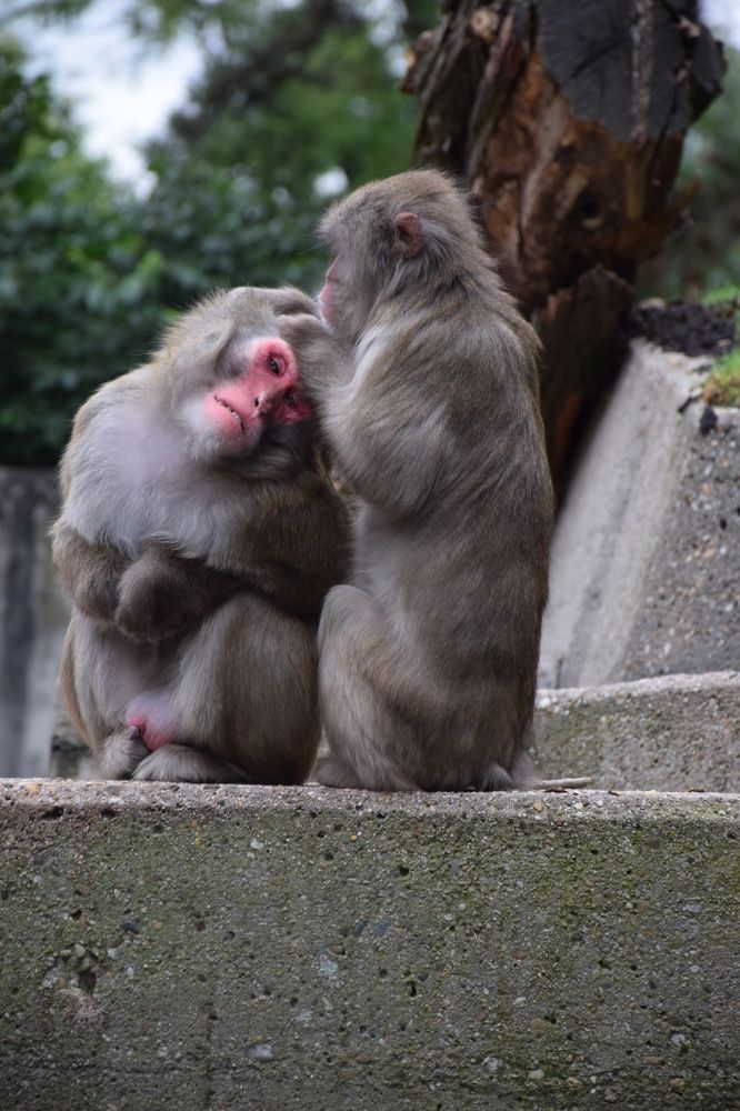 Photograph by Natalia Persidskaia