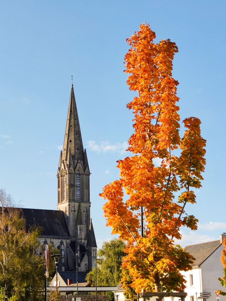 Photograph by Аlina BRAZIUL