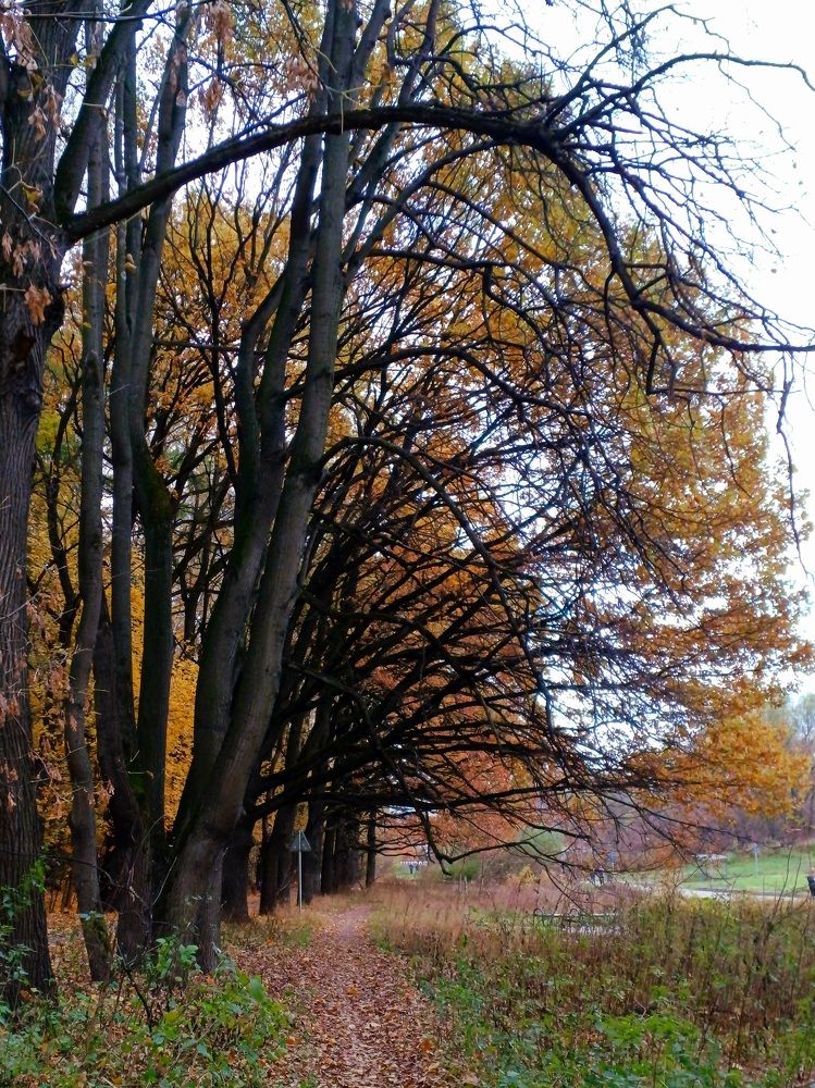 Photo #11207057