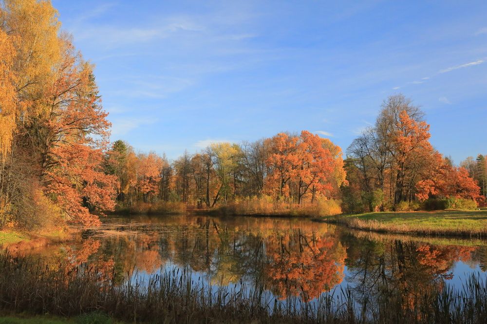 Photograph by Николай Бакулин