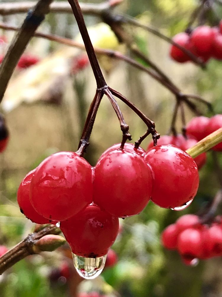 Photograph by Надежда Ткаченко