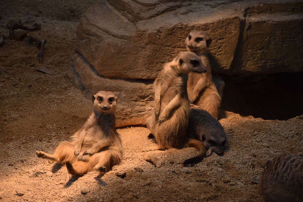 Photograph by Natalia Persidskaia