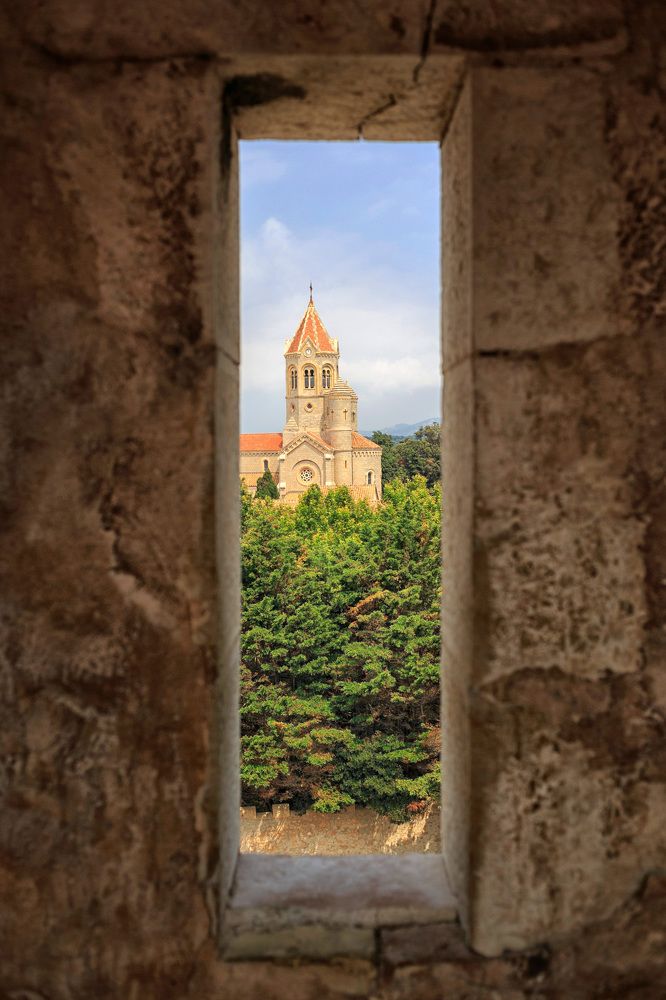 Photograph by Елена Евдокимова