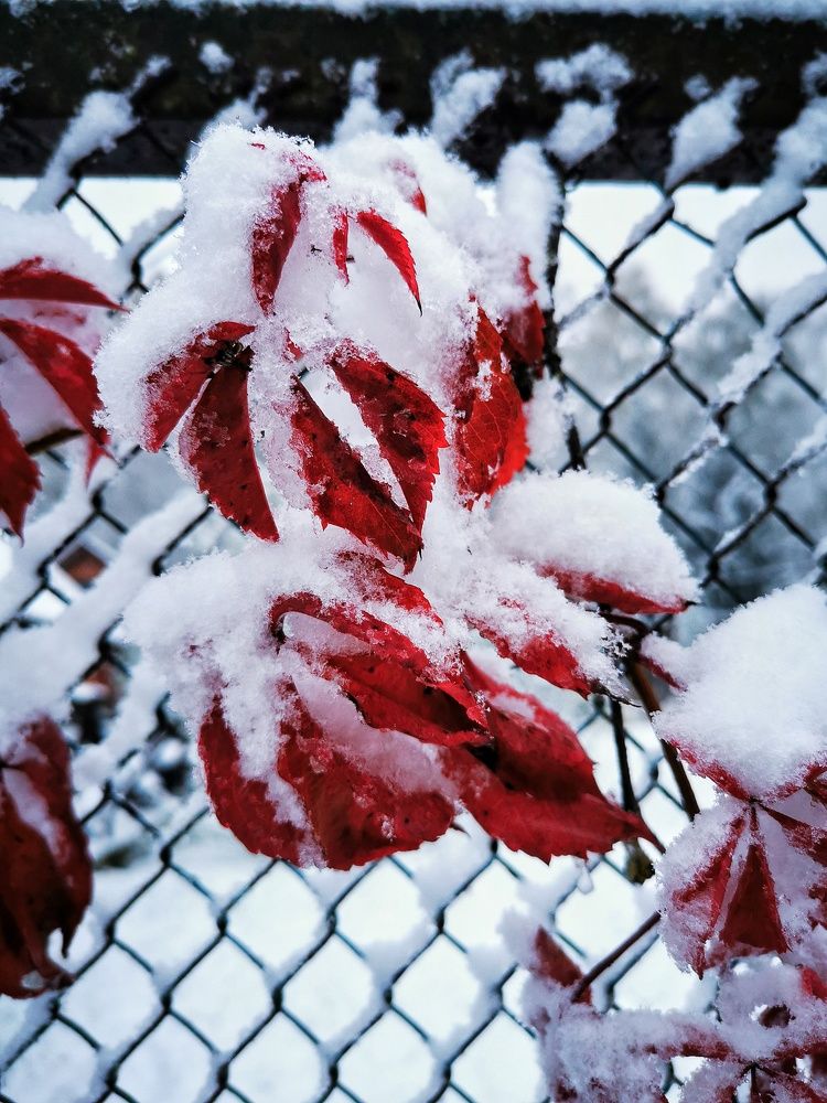 Photograph by Елена Артёменко