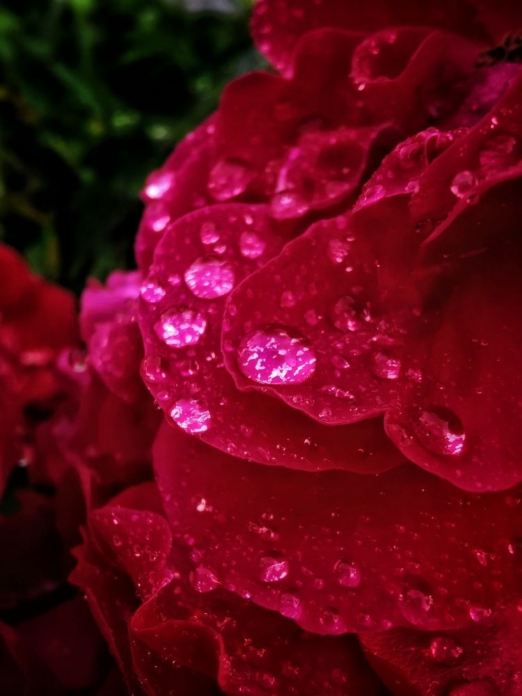 Photograph by Елена Артёменко