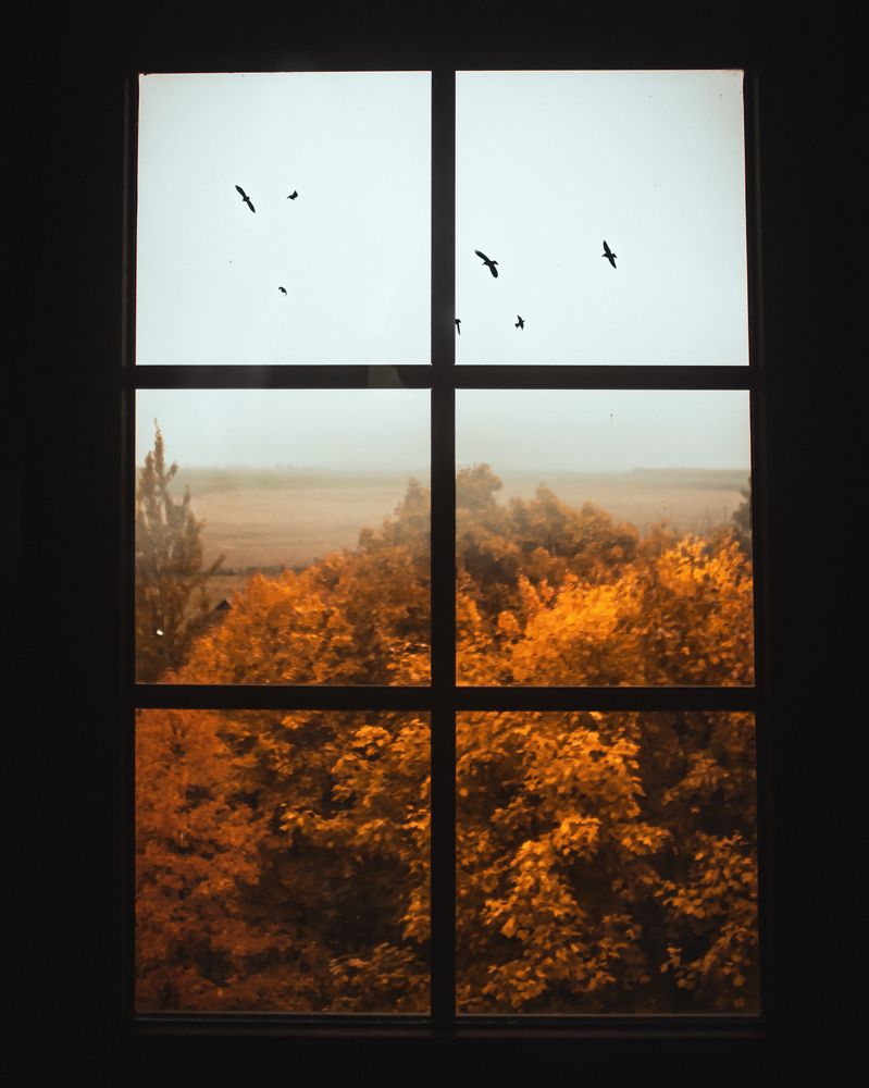 Photograph by Tatsiana Sialiuk