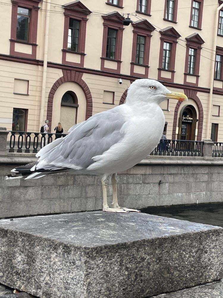 Photograph by Юлия Лебедева